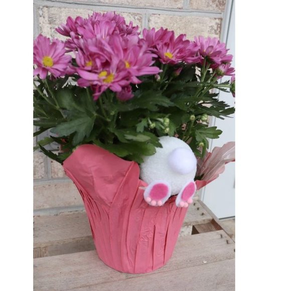 COPY 🇺🇦 Rabbit Bunny Tail Pick Stem - Picture 2 of 6